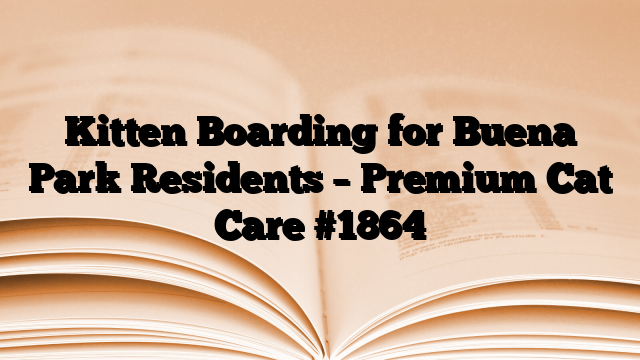 Kitten Boarding for Buena Park Residents – Premium Cat Care
