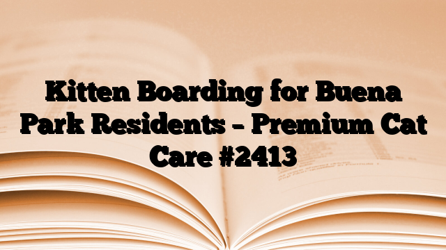 Kitten Boarding for Buena Park Residents – Premium Cat Care