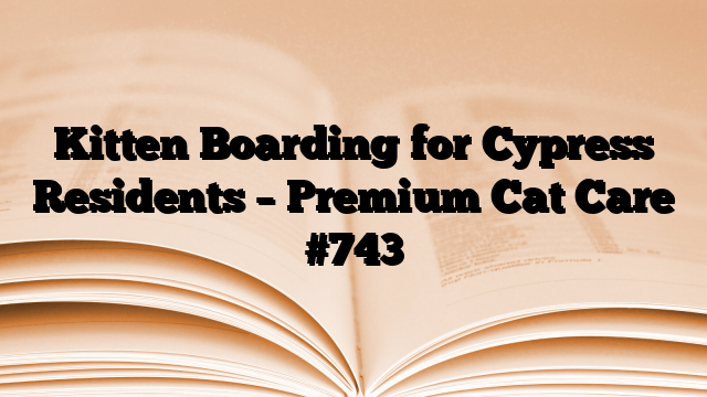 Kitten Boarding for Cypress Residents – Premium Cat Care