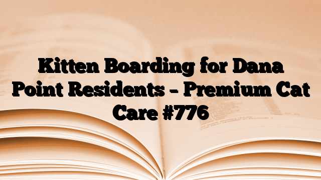 Kitten Boarding for Dana Point Residents – Premium Cat Care