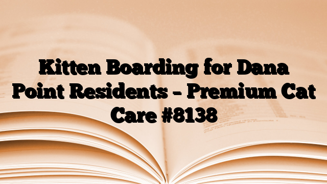 Kitten Boarding for Dana Point Residents – Premium Cat Care