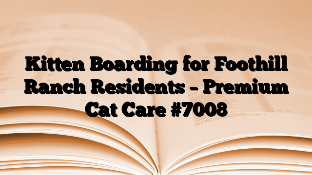 Kitten Boarding for Foothill Ranch Residents – Premium Cat Care