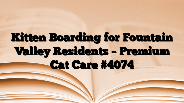 Kitten Boarding for Fountain Valley Residents – Premium Cat Care