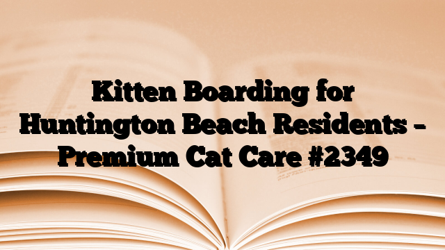 Kitten Boarding for Huntington Beach Residents – Premium Cat Care