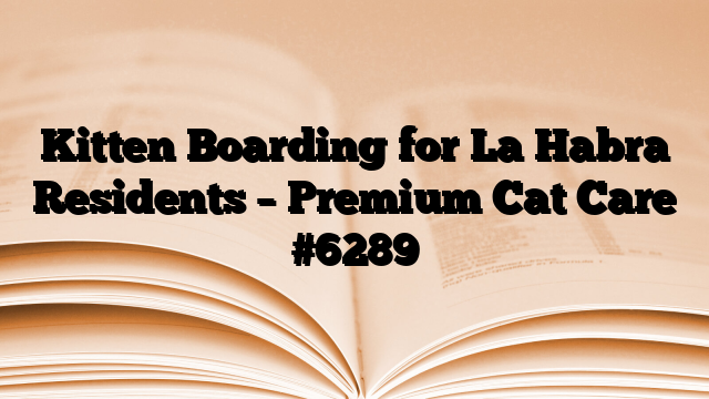 Kitten Boarding for La Habra Residents – Premium Cat Care