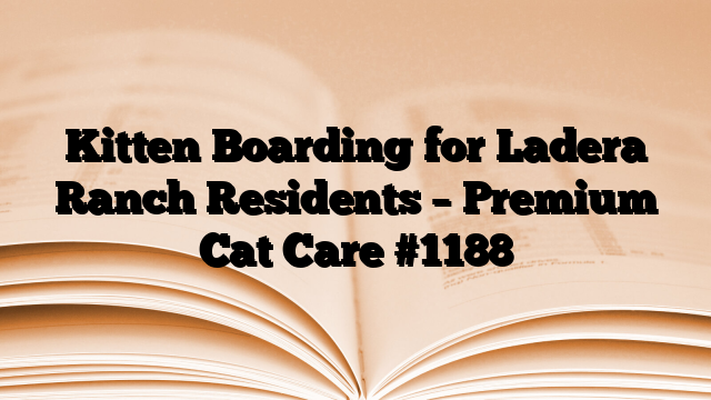 Kitten Boarding for Ladera Ranch Residents – Premium Cat Care