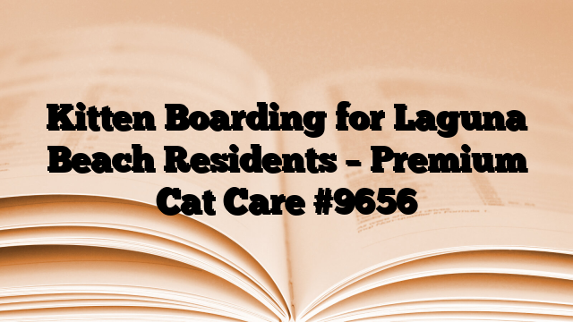 Kitten Boarding for Laguna Beach Residents – Premium Cat Care