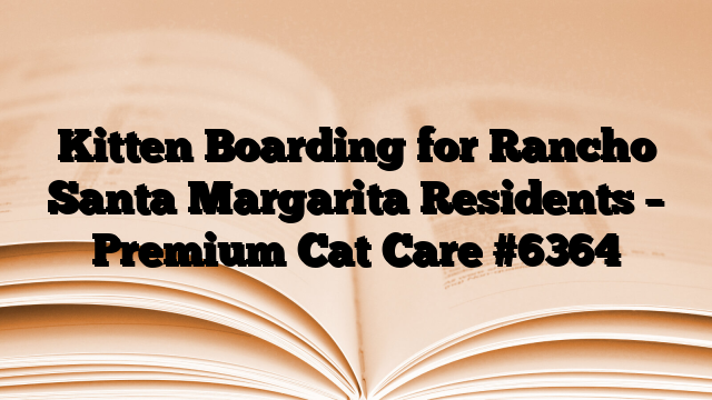 Kitten Boarding for Rancho Santa Margarita Residents – Premium Cat Care