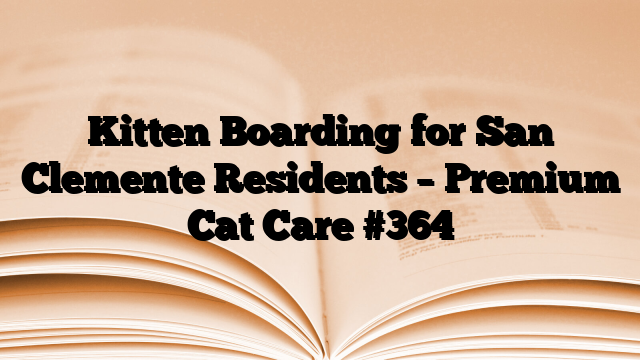 Kitten Boarding for San Clemente Residents – Premium Cat Care