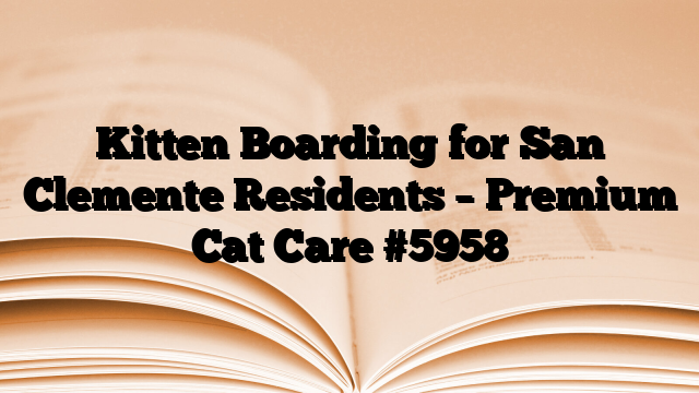 Kitten Boarding for San Clemente Residents – Premium Cat Care
