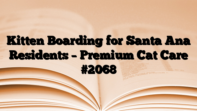Kitten Boarding for Santa Ana Residents – Premium Cat Care