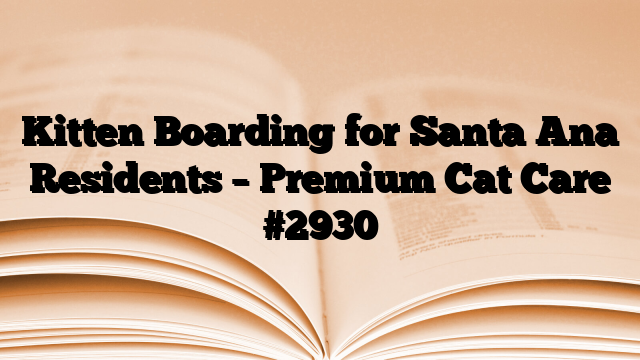Kitten Boarding for Santa Ana Residents – Premium Cat Care