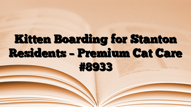 Kitten Boarding for Stanton Residents – Premium Cat Care