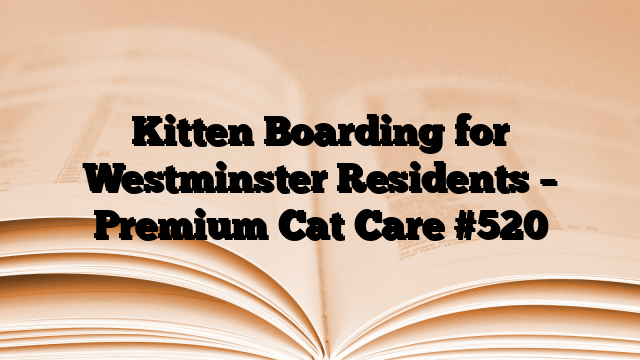 Kitten Boarding for Westminster Residents – Premium Cat Care