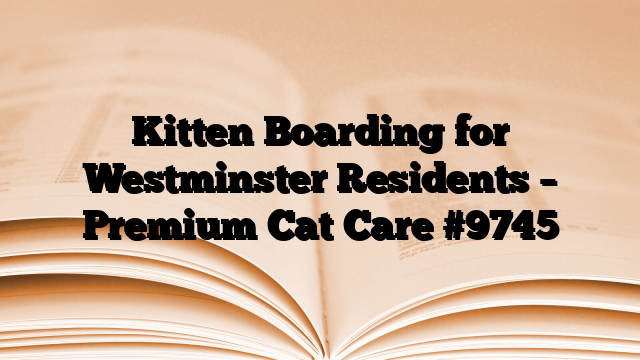 Kitten Boarding for Westminster Residents – Premium Cat Care