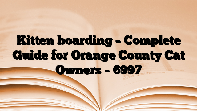 Kitten boarding – Complete Guide for Orange County Cat Owners
