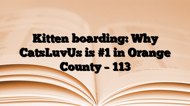 Kitten boarding: Why CatsLuvUs is #1 in Orange County