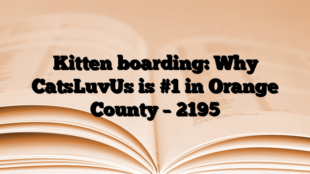 Kitten boarding: Why CatsLuvUs is #1 in Orange County