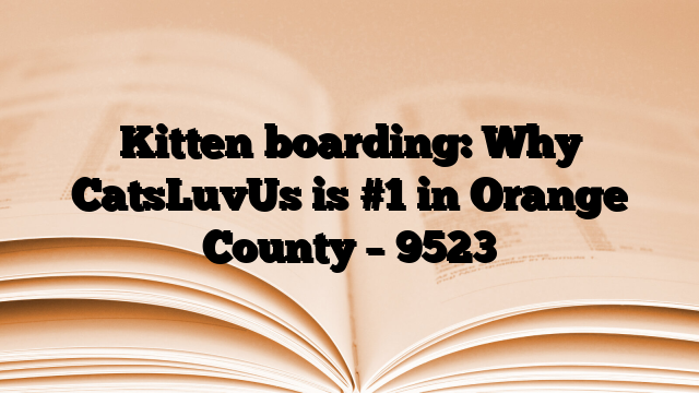 Kitten boarding: Why CatsLuvUs is #1 in Orange County