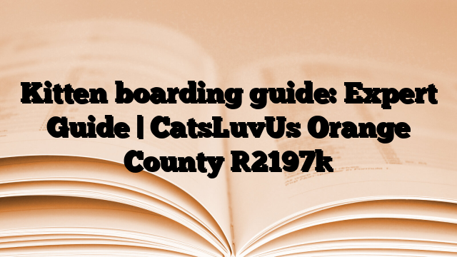 Kitten boarding guide: Expert Guide | CatsLuvUs Orange County