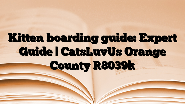 Kitten boarding guide: Expert Guide | CatsLuvUs Orange County