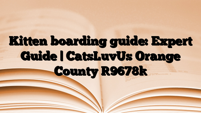 Kitten boarding guide: Expert Guide | CatsLuvUs Orange County