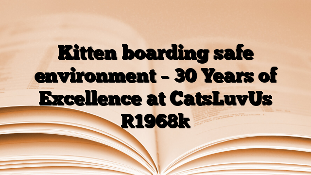 Kitten boarding safe environment – 30 Years of Excellence at CatsLuvUs