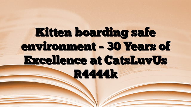 Kitten boarding safe environment – 30 Years of Excellence at CatsLuvUs
