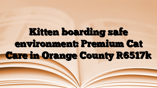 Kitten boarding safe environment: Premium Cat Care in Orange County