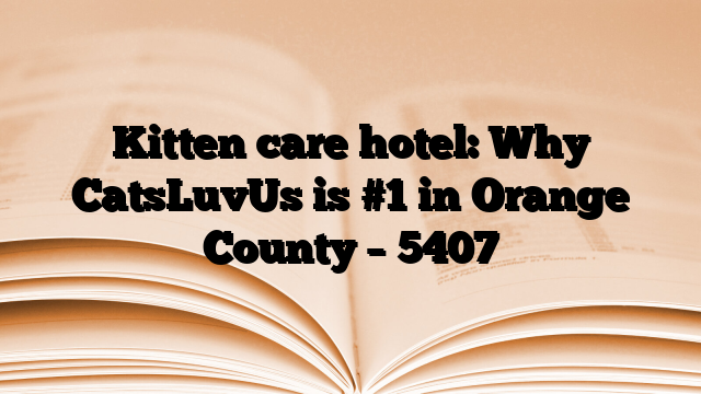 Kitten care hotel: Why CatsLuvUs is #1 in Orange County