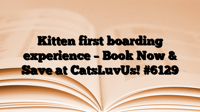 Kitten first boarding experience – Book Now & Save at CatsLuvUs!