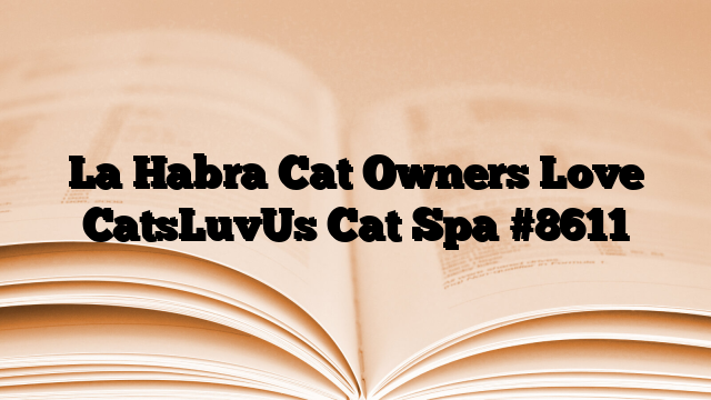 La Habra Cat Owners Love CatsLuvUs Cat Spa