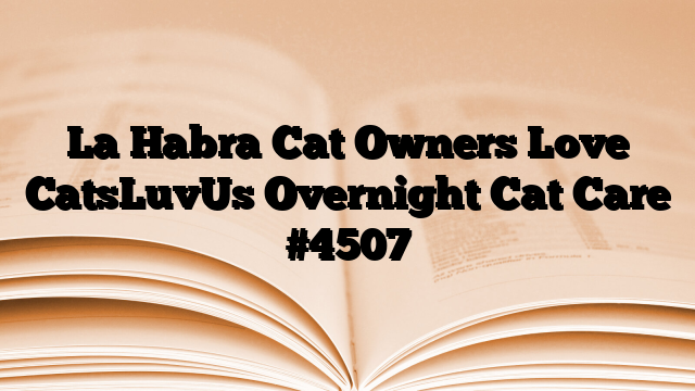 La Habra Cat Owners Love CatsLuvUs Overnight Cat Care