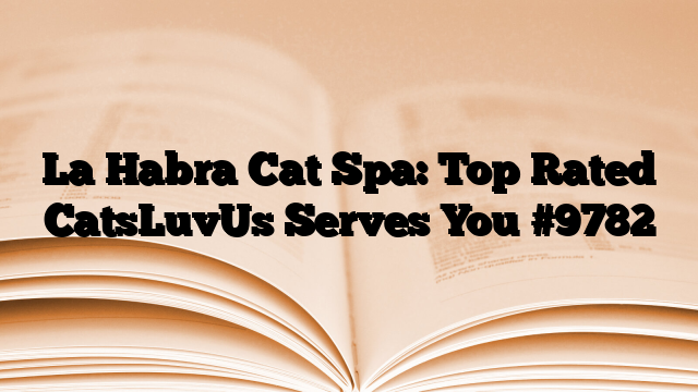 La Habra Cat Spa: Top Rated CatsLuvUs Serves You