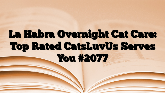 La Habra Overnight Cat Care: Top Rated CatsLuvUs Serves You