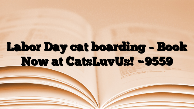 Labor Day cat boarding – Book Now at CatsLuvUs!
