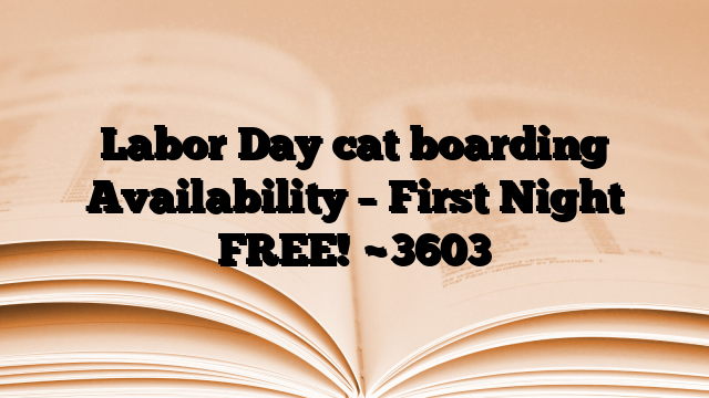 Labor Day cat boarding Availability – First Night FREE!