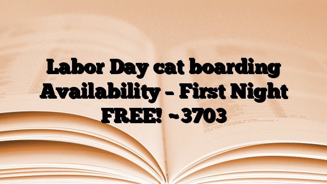Labor Day cat boarding Availability – First Night FREE!