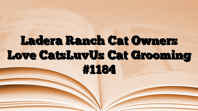 Ladera Ranch Cat Owners Love CatsLuvUs Cat Grooming