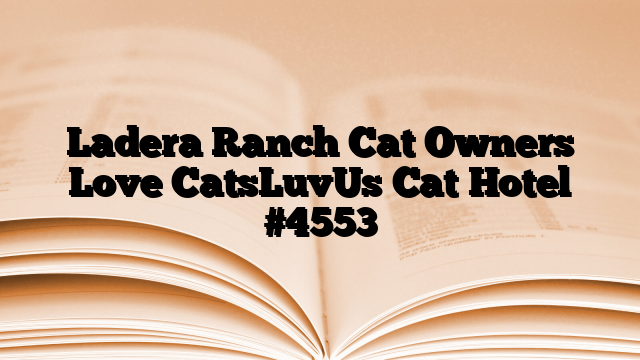 Ladera Ranch Cat Owners Love CatsLuvUs Cat Hotel