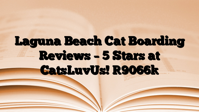 Laguna Beach Cat Boarding Reviews – 5 Stars at CatsLuvUs!