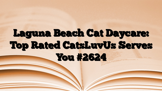 Laguna Beach Cat Daycare: Top Rated CatsLuvUs Serves You