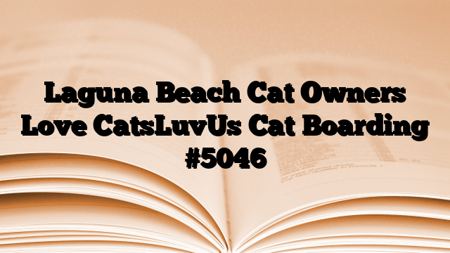 Laguna Beach Cat Owners Love CatsLuvUs Cat Boarding