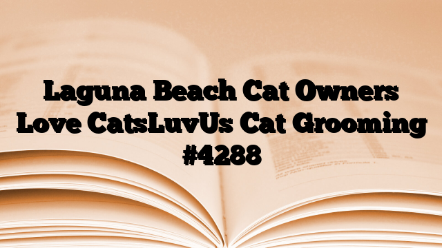 Laguna Beach Cat Owners Love CatsLuvUs Cat Grooming