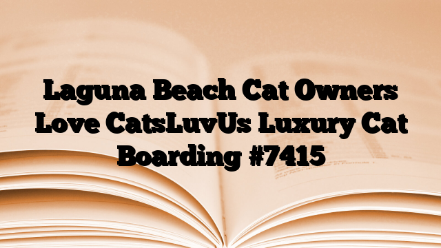 Laguna Beach Cat Owners Love CatsLuvUs Luxury Cat Boarding
