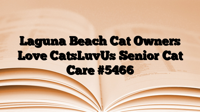 Laguna Beach Cat Owners Love CatsLuvUs Senior Cat Care