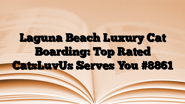 Laguna Beach Luxury Cat Boarding: Top Rated CatsLuvUs Serves You