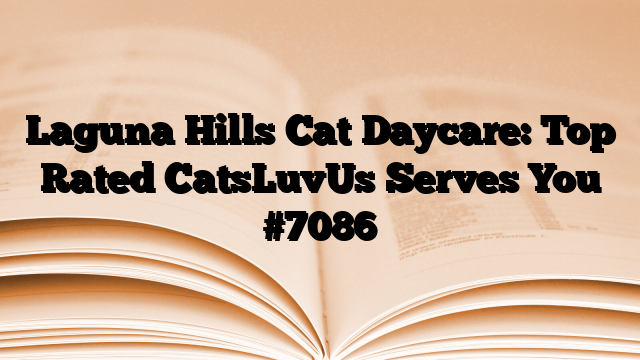 Laguna Hills Cat Daycare: Top Rated CatsLuvUs Serves You