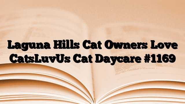 Laguna Hills Cat Owners Love CatsLuvUs Cat Daycare
