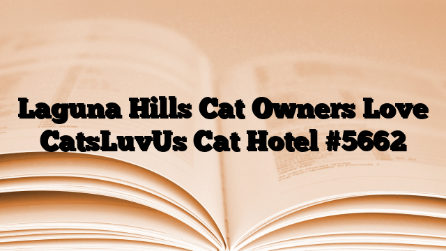 Laguna Hills Cat Owners Love CatsLuvUs Cat Hotel